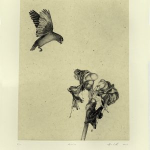 Tryptique 2e partie : Gioia (Joie)