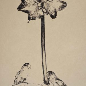 Tryptique 1ere partie : Incanto (Enchantement)