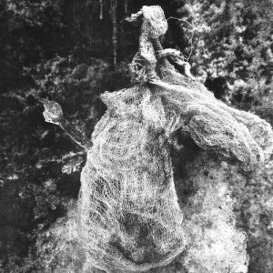 L'écho du silence