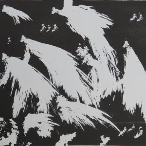 Oiseaux-mouches