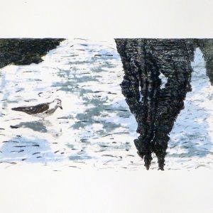 Le Narcisse du parc Lafontaine