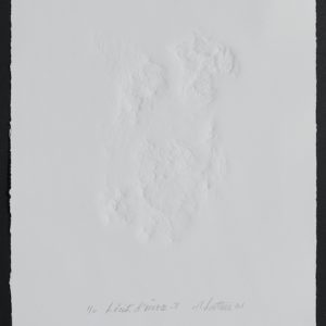 Récit d'écorce -8