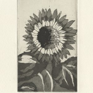 L'or de mon jardin