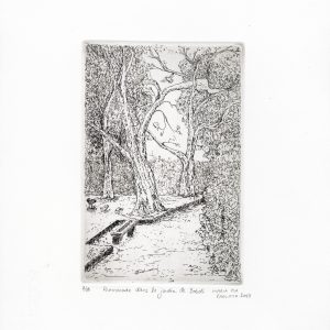 Promenade dans le jardin de Boboli