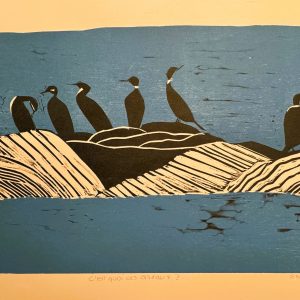 C'est quoi ces oiseaux ?